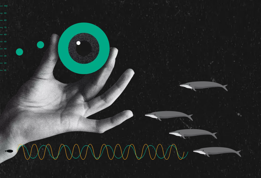 Jaká byla Noc vědců 2022?