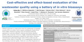 Cost-effective and effect-base evaluation of the wastewater quality using a&#160;battery of in vitro bioassays