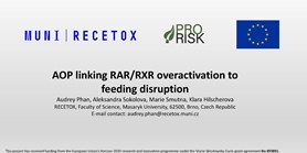 AOP linking RAR/RXR overactivation to  feeding disruption
