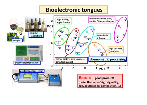 Bioelektronický jazyk pro charakterizaci vín (Front Cover Image – TrAC Trends in Analytical Chemistry ročník 127, Červen 2020.