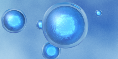 InGA Postdoc in Stem Cell and Developmental Biology Research