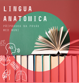 Lingua Anatomica: přípravka na prvák MED MUNI