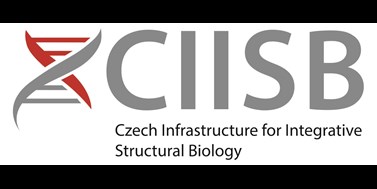 CIISB - Integrative Structural Biology