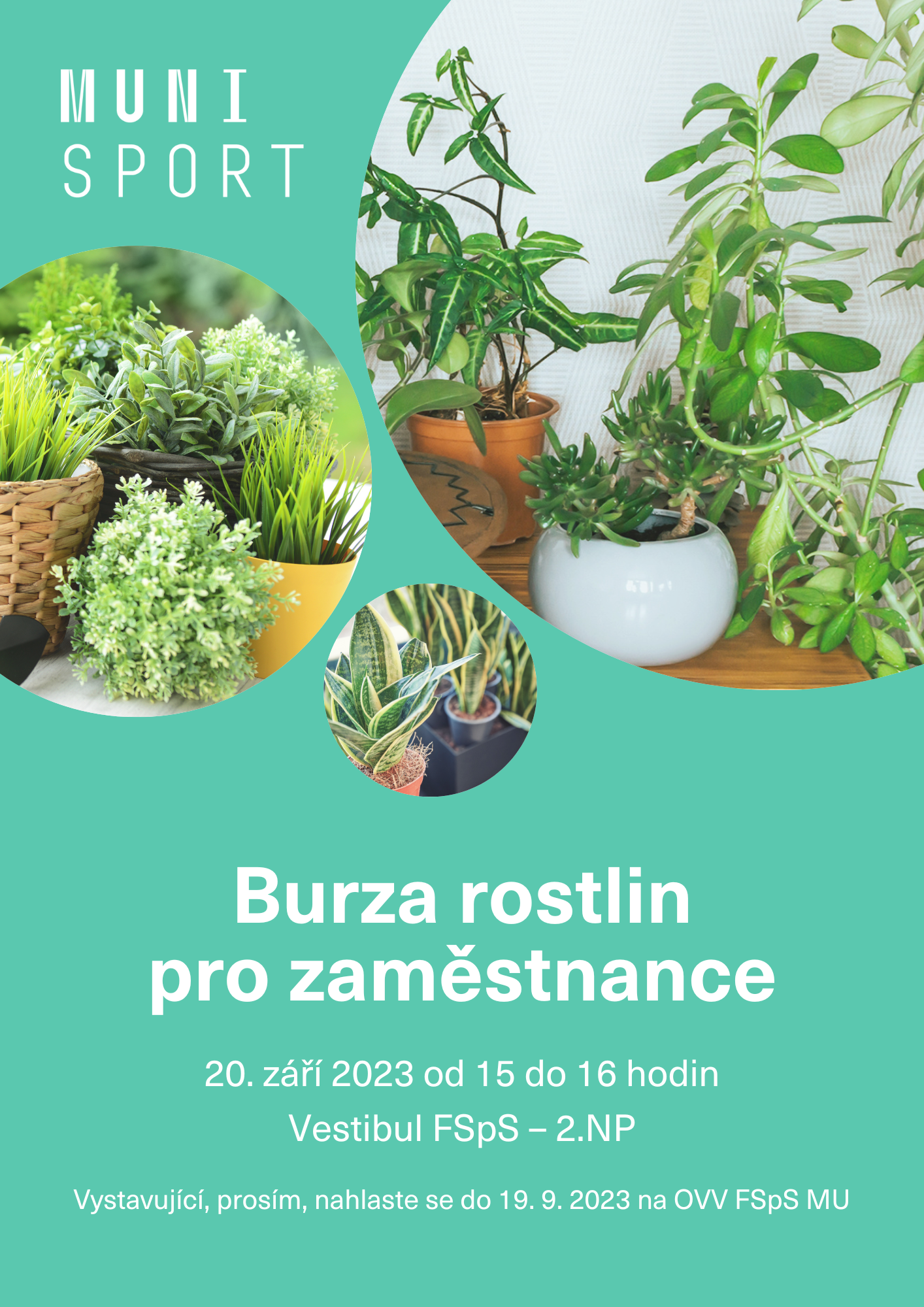 Bez popisku