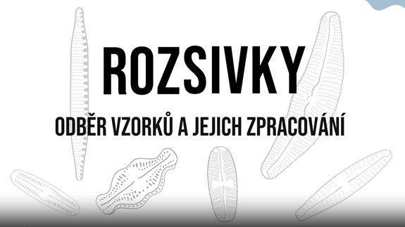 Úvodní segment edukativního videa © Rozehnalová K. (2023)