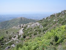 Crete: Effect of soil pH on the diversity of phrygana