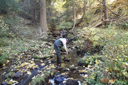 The hydrobiologist Jan Šupina measuring the coverage of phytobenthos in a stream. Photo: DBZ archive.
