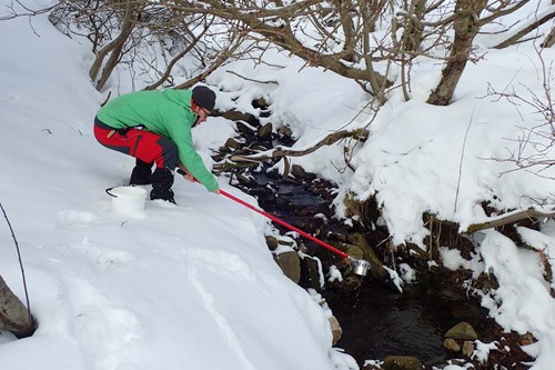 The hydrobiologist David Výravský taking a water sample from a stream for chemical analysis. Photo: DBZ archive.