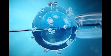 Dopad kryoprezervace na stabilitu maternálních biomolekul klíčových pro raný embryonální vývoj a nástroje pro prevenci jeho selhání