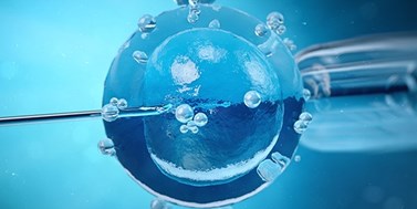 Impact of cryopreservation on the stability of key maternal factors for early embryo development and tools to prevent developmental arrest