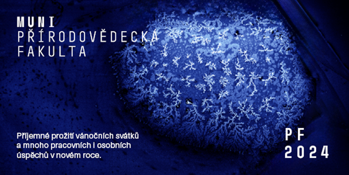 Jiskrový výboj na povrchu křemíku připomínající ledové květy na skle. Zachyceno mikroskopem MIRA3. Foto: Jan Čech, Ústav fyziky a technologií plazmatu SCI MUNI.