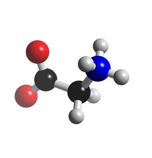 Obr. 15: Molekula glycinu