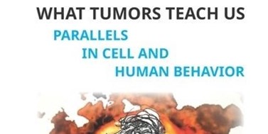 Kniha Co nás učí nádory vyšla v&#160;angličtině