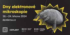Days of electron microscopy 2024 in Brno are starting