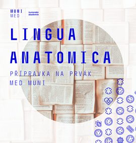 Pozvánka do kurzu Lingua Anatomica