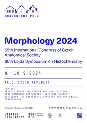 Plakát A4 Morphology 2024 RGB