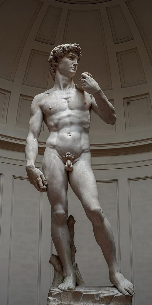 Michelangelo, David, 1501–1504.