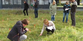 Botanists from Masaryk University documented occurrences of 1,492 plants in Brno