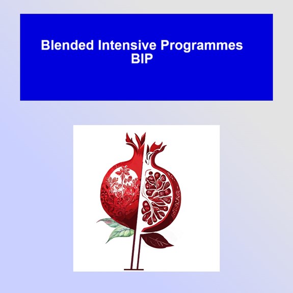 Logo projektu BIP
