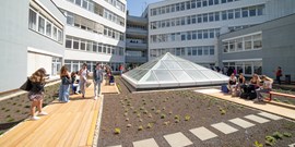 New green roof at ECON MUNI inaugurated by the Dean