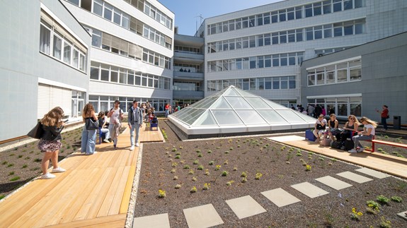 Čerstvě revitalizovaná zelená střecha osvěží prostor fakulty. | Foto: Daniel Pospíchal