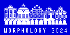 Invitation to the Morphology 2024 Conference