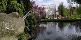 Vote for our botanical garden. It is about half a&#160;million!