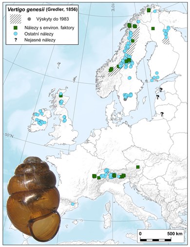 The current distribution of Vertigo genesii, the snail species protected by European law, which last occurred in the Czech Republic approximately 10,000 years ago. Its range is now restricted in central Europe to the high altitudes of the Alps. Authors: Michal Horsák and Veronika Horsáková.