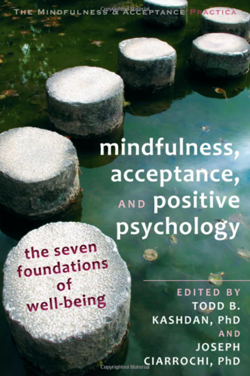 Mindfulness, Acceptance, and Positive Psychology: The Seven Foundations of Well-Being (Kashdan, Ciarrochi 2013)