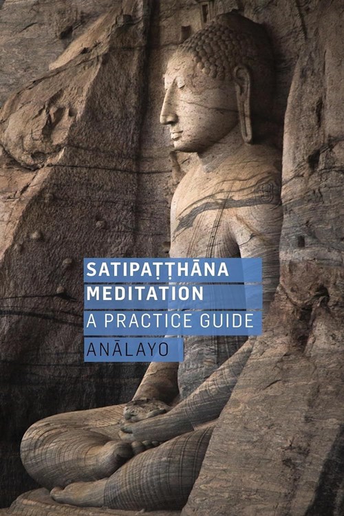 Satipatthana Meditation: A Practice Guide (Anālayo 2018)