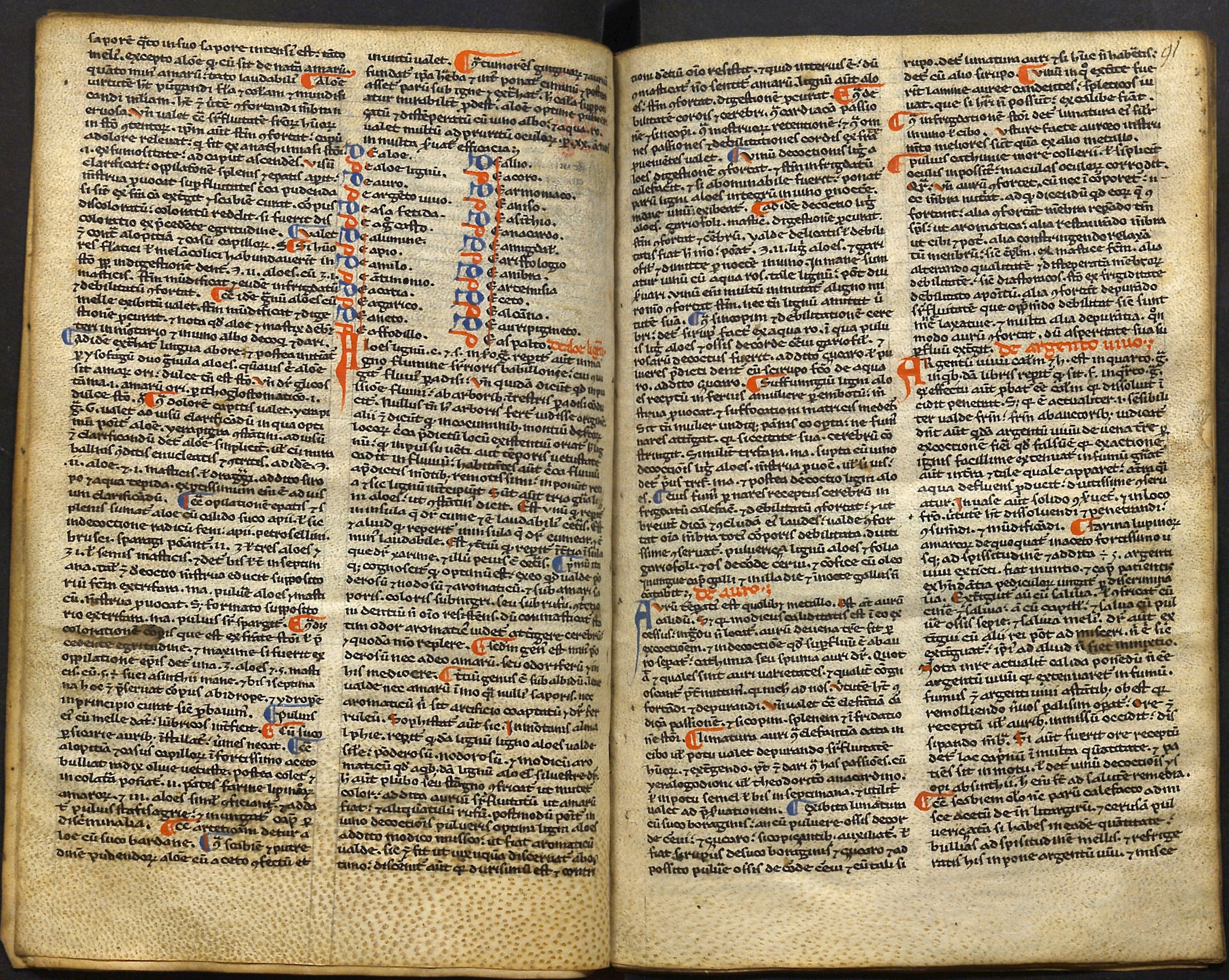 Herbaria manuscripta: databáze všech středověkých rukopisných herbářů České republiky