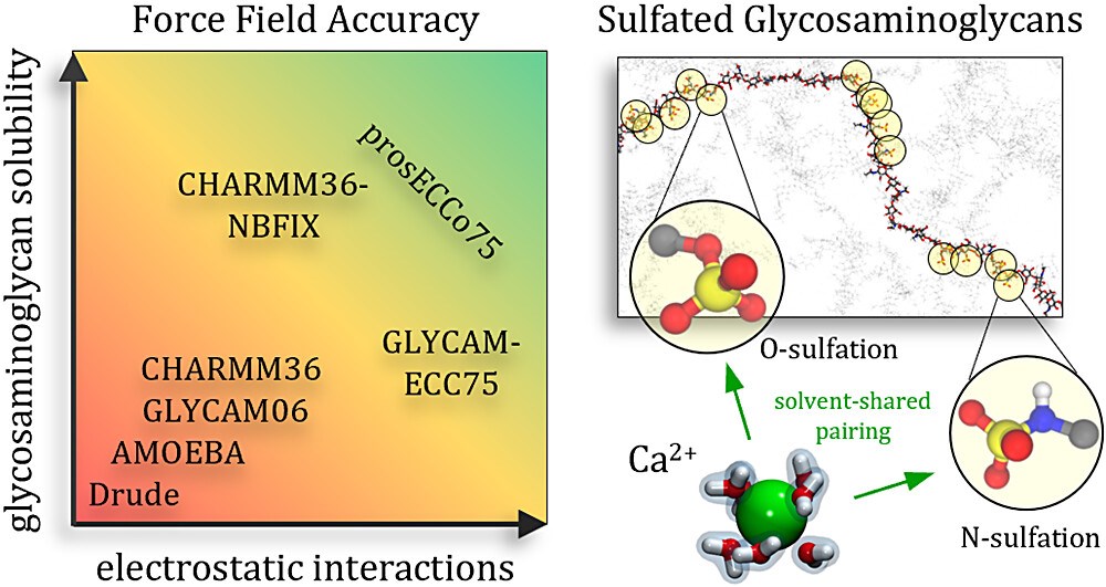 Developing and Benchmarking Sulfate and Sulfamate Force Field Parameters via Ab Initio Molecular Dynamics Simulations to Accurately Model Glycosaminoglycan Electrostatic Interactions
