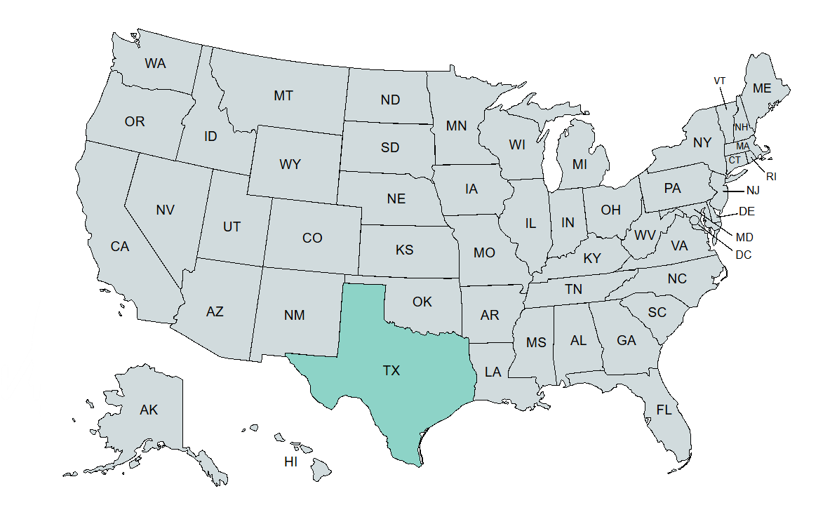 Ukázka mapy USA vytvořené v aplikaci se zaznačeným Texasem, zdroj: Map Chart