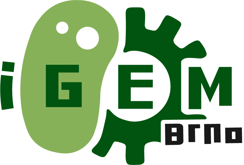 Logo iGEM Brno s grafickou reprezentací buněčné struktury a ozubeného kola ve zelených odstínech.