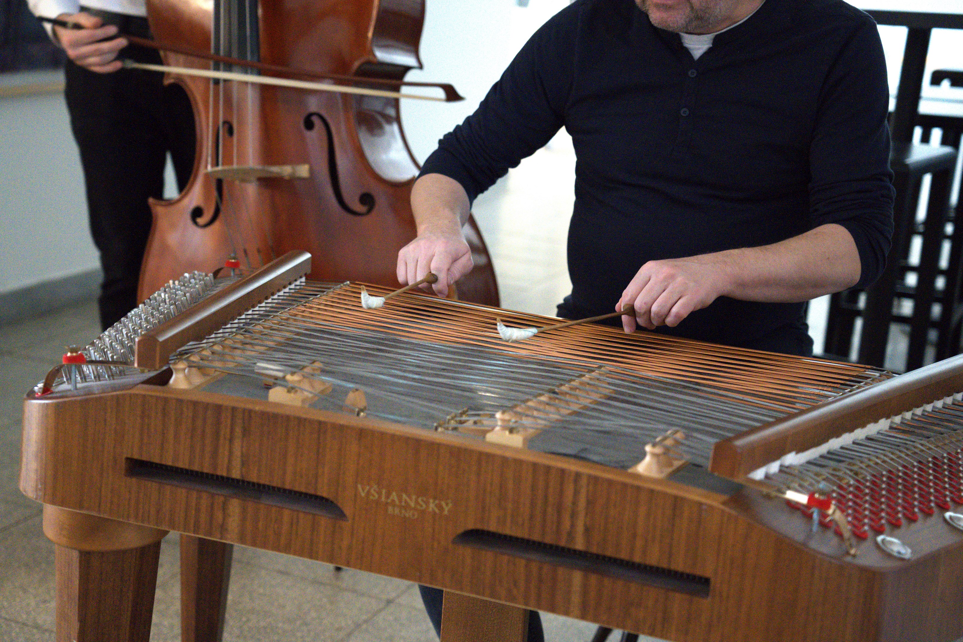 Koncert sborů a souboru MUNI