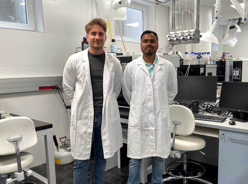 MSCA postdoctoral fellows: “We should try our best when writing the grant. Regardless of the result, it is beneficial to try.” 