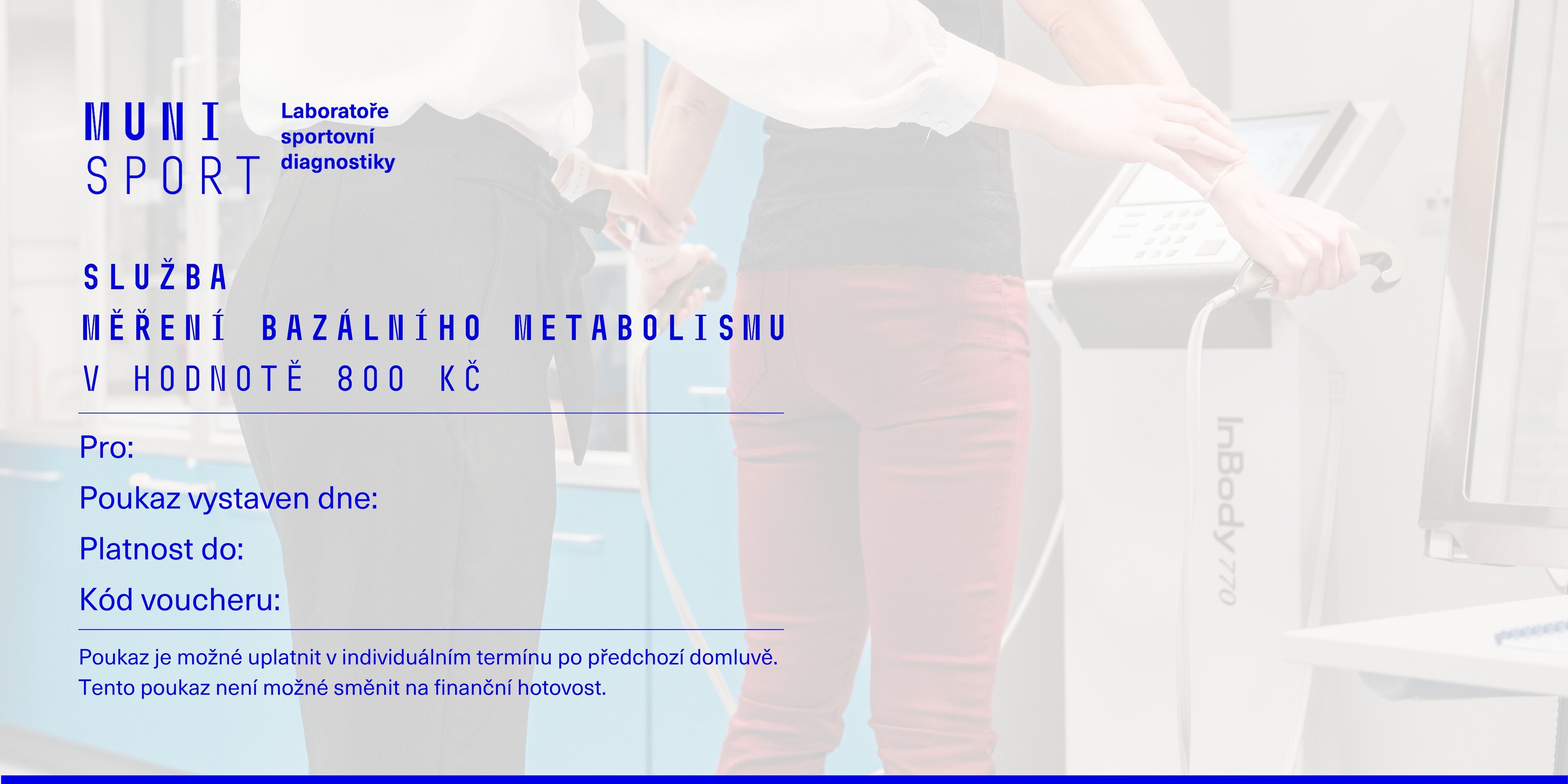 Měření bazálního metabolismu