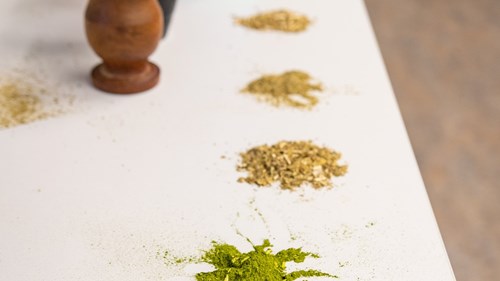 Foto: Ondřej Vedral & Alexandra Snováková/FF MU