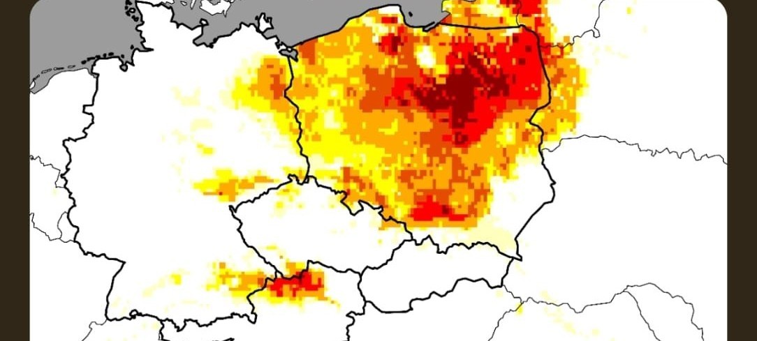 Jak funguje nový nástroj včasného varování před klimatickými extrémy?