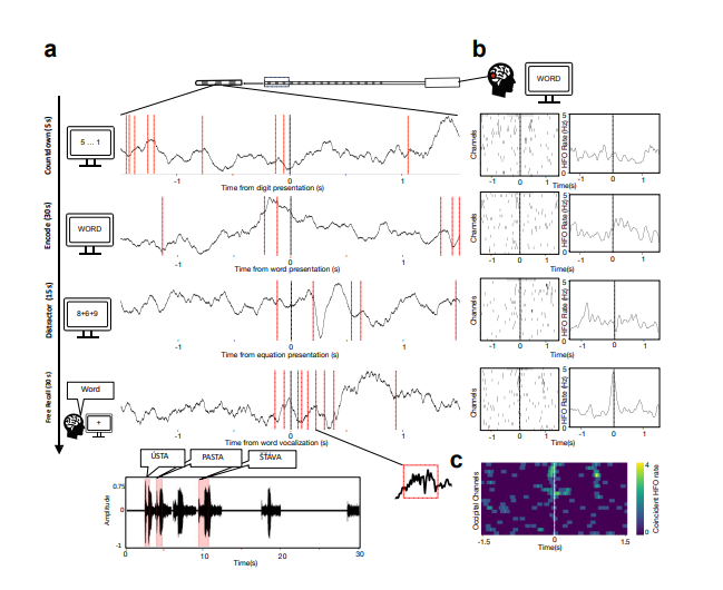 Global coincident bursts of high frequency oscillations across the human cortex coordinate large-scale memory processing