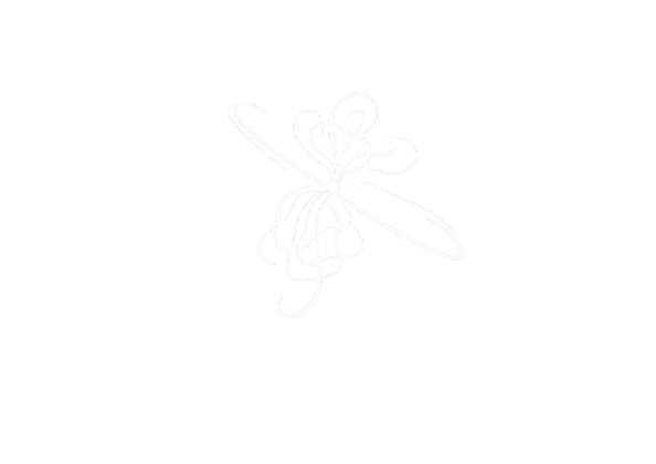 Galactic Nuclei