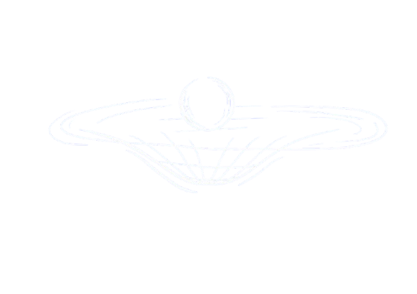 Kvantová Gravitace