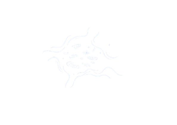 Galaxy cluster astrophysics