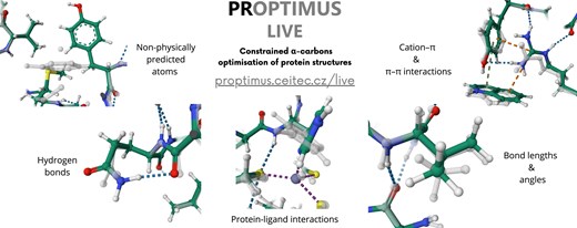 Three papers have been published as part of the project Optimisation of AI-predicted protein structures