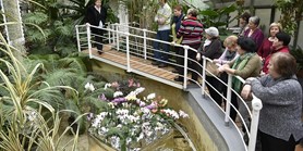 Exkurze v Botanické zahradě MU