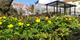 Přijďte si užít jaro do zahrad Masarykovy univerzity