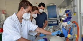 Mladí vědci z MU útočí bakteriofágy na infekce