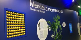 Mendelovo muzeum MU otevřelo novou expozici