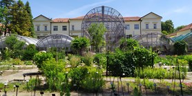 Palmový skleník botanické zahrady je bez skel