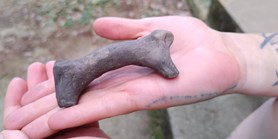 Archeologové MU našli unikátní hliněnou sošku berana  